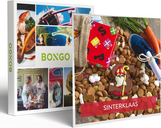 Bongo Bon - SINTERKLAASIDEE: BELEVENISSEN VOOR KINDEREN - Cadeaukaart cadeau voor man of vrouw