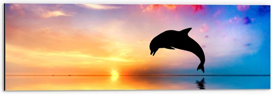 WallClassics - Dibond - Silhouet van Dolfijn bij Ondergaande Zon in het Water - 60x20 cm Foto op Aluminium (Met Ophangsysteem)