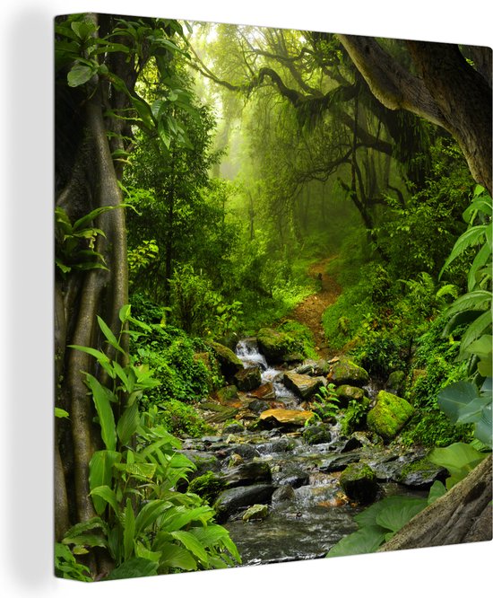 Canvas - Schilderij jungle - Bos - Water - Jungle - Muurdecoratie - Foto op canvas - 90x90 cm