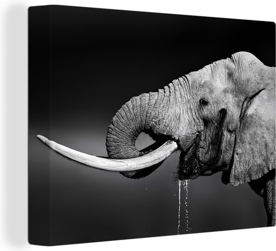Canvas - Wilde dieren - Olifant - Drinken - Zwart - Wit - Wanddecoratie - 80x60 cm - Schilderijen op canvas - Foto op canvas