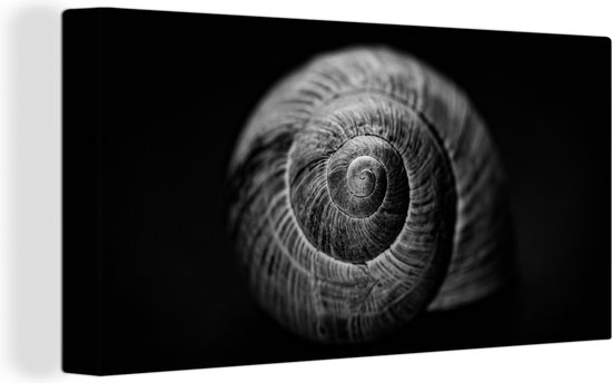 Toile - Animaux - Escargot - Zwart - Wit - Toile - 160x80 cm - Peintures sur toile - Décoration murale