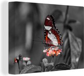 Canvas - Dieren - Vlinder - Bloemen - Natuur - Oranje - Woonkamer - 160x120 cm - Canvas doek - Schilderijen op canvas