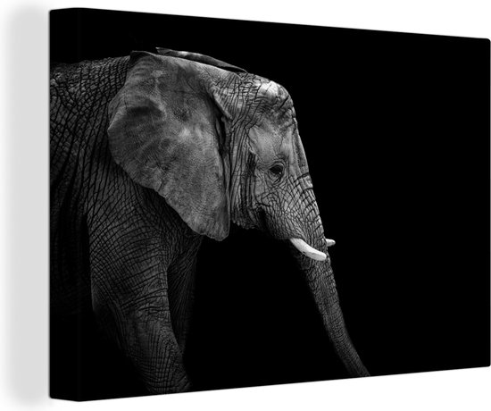 Canvas - Wilde dieren - Olifant - Zwart - Wit - Canvas doek - 120x80 cm - Wanddecoratie - Foto op canvas