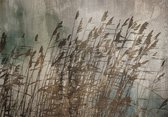 Fotobehangkoning - Behang - Vliesbehang - Fotobehang - Water Grasses - 400 x 280 cm