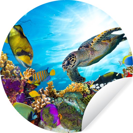 decalmile Onder de zee Zeemeermin Muurstickers Oceaan vis Walvis Schildpad Muurtattoo Baby Kinderkamer Babykamer Badkamer Wanddecoratie