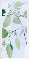 Deursticker Eucalyptustakken met bladeren - 85x205 cm - Deurposter