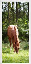 Deursticker Paard - Bloemen - Licht - 90x205 cm - Deurposter