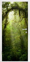 Deursticker Zonnestralen glippen door het tropische bladerdak - 85x205 cm - Deurposter