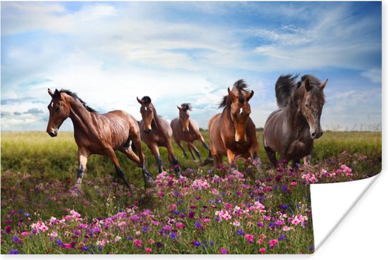 Poster Paarden - Bloemen - Roze - 30x20 cm