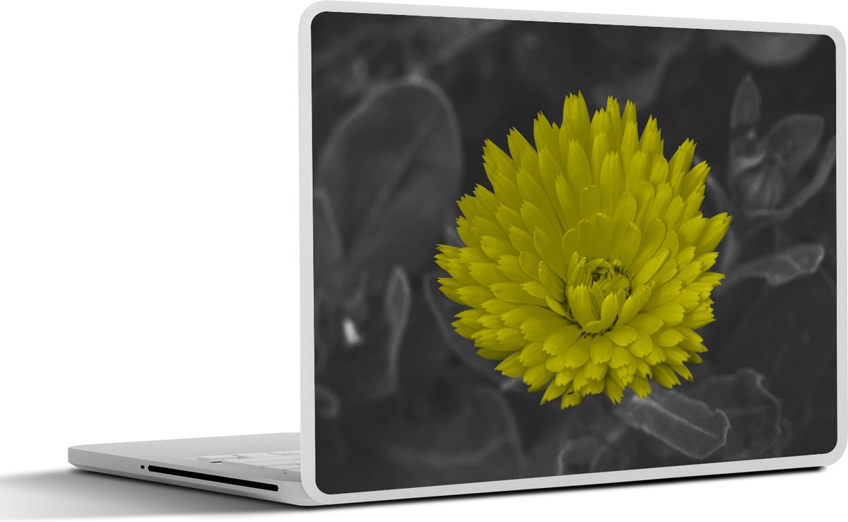 Laptop sticker - 15.6 inch - Bloemen - Waterverf - Paardenbloem - 36x27,5cm - Laptopstickers - Laptop skin - Cover