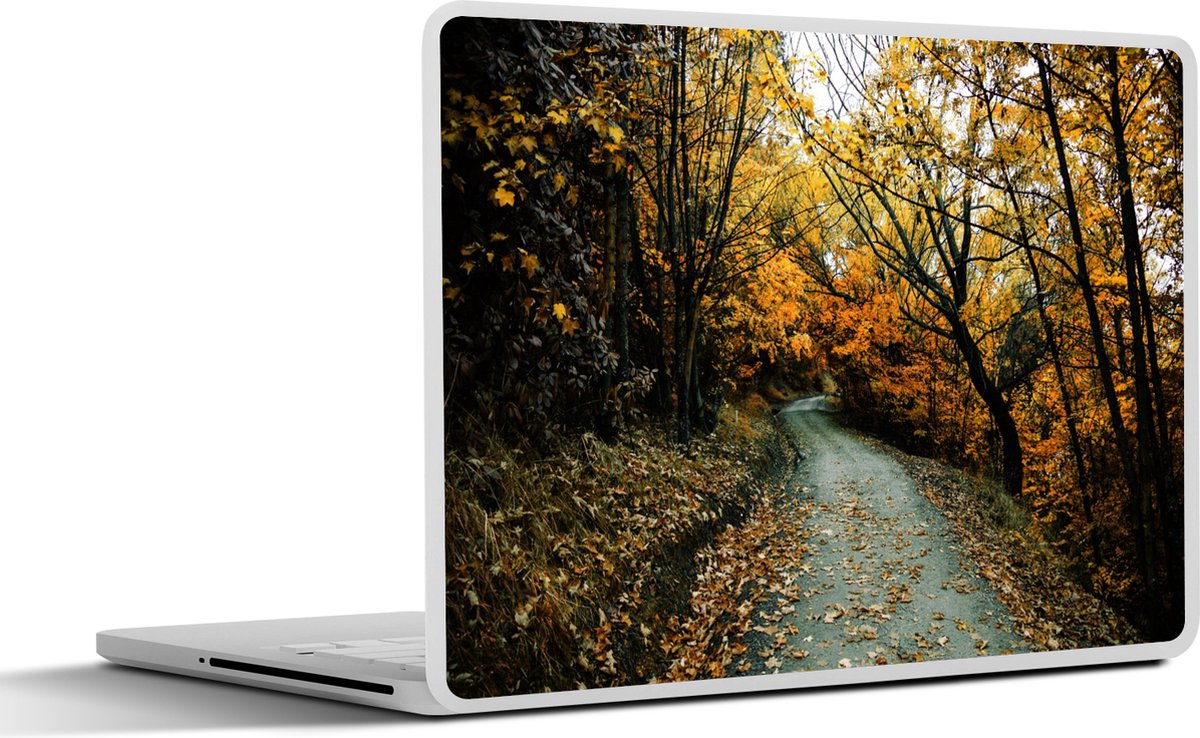Laptop sticker - 12.3 inch - Bladeren - Herfst - Bos - 30x22cm - Laptopstickers - Laptop skin - Cover
