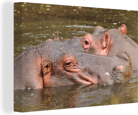 Nijlpaarden naast elkaar Canvas 120x80 cm - Foto print op Canvas schilderij (Wanddecoratie)