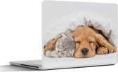 Laptop sticker - 13.3 inch - huisdieren - hond - Kat - Deken - 31x22,5cm - Laptopstickers - Laptop skin - Cover