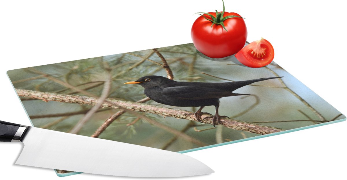 Glazen Snijplank - 28x20 - Vogel - Merel - Takken - Dieren - Snijplanken Glas