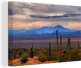 Canvas Schilderij Sonoran woestijn Mexico foto afdruk - 30x20 cm - Wanddecoratie