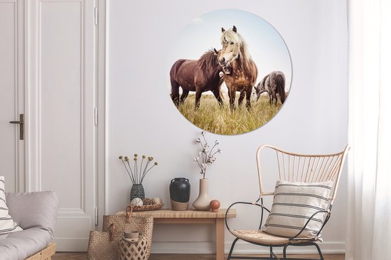 WallCircle - Wall Circle - Wall Circle Indoor - Paarden - Herbe - Printemps - 120x120 cm - Décoration murale - Peintures Ronds XXL