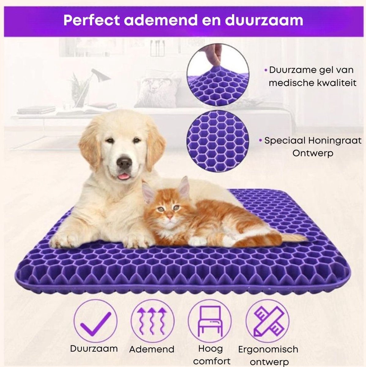 Zitkussen 50% Korting Aanbieding bij Lidl
