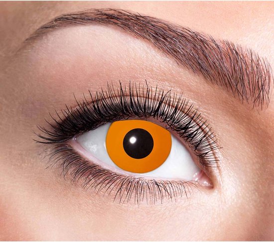 Lentilles hebdomadaires Citrouille