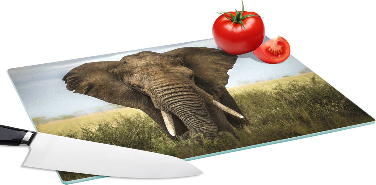 Glazen Snijplank - 39x28 - Olifant - Natuur - Gras - Dieren - Landschap - Snijplanken Glas