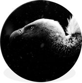 WallCircle - Wandcirkel - Muurcirkel - Close-up van een gier tegen een zwarte achtergrond - zwart wit - Aluminium - Dibond - ⌀ 30 cm - Binnen en Buiten