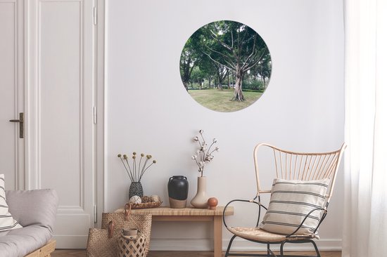 Arbre spécial en Guangzhou Wall cercle aluminium - ⌀ 60 cm - peinture ronde - impression photo sur aluminium / dibond / cercle mural / cercle vivant / cercle de jardin (décoration murale)
