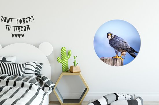 Faucon sur perche en bois Cercle mural aluminium ⌀ 60 cm - impression photo sur cercle mural / cercle vivant / cercle de jardin (décoration murale)