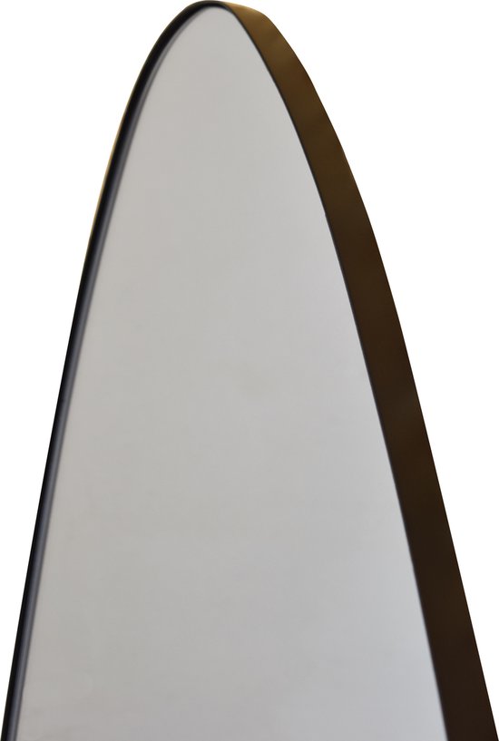 Fragix Avi Organische spiegel 120x62 Zwart