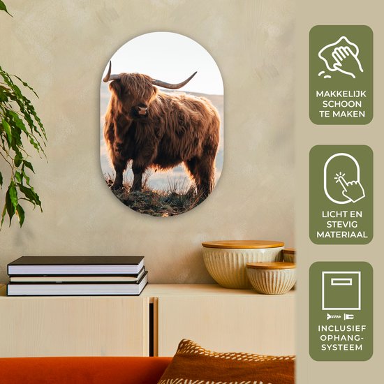 Wall Oval - Décoration murale en plastique - Peinture ovale - Highlander écossais - Animaux - Rural - Paysage - 40x60 cm - Miroir ovale sur plastique