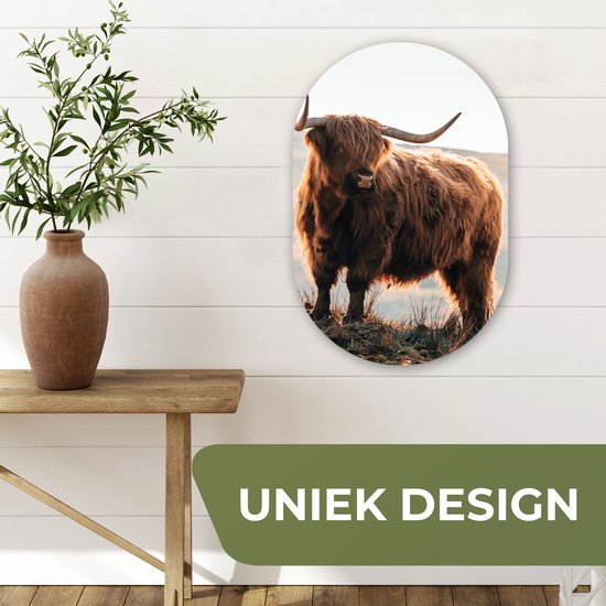 Wall Oval - Décoration murale en plastique - Peinture ovale - Highlander écossais - Animaux - Rural - Paysage - 40x60 cm - Miroir ovale sur plastique