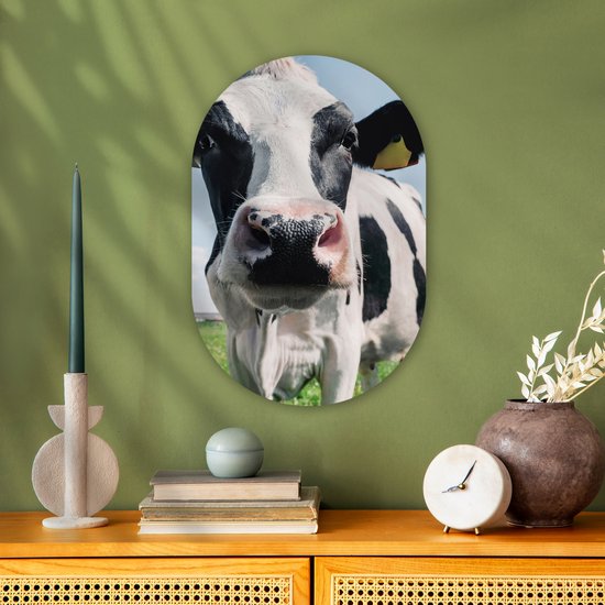 Ovale Mural - Ovale Mural - Décoration murale Plastique - Peinture Ovale - Vache - Pâturage - Nature - Animaux - Herbe - 40x60 cm - Forme Miroir Ovale sur Plastique