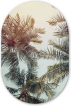 Muurovaal - Kunststof Wanddecoratie - Ovalen Schilderij - Palmboom - Zomer - Tropisch - 60x90 cm - Ovale spiegel vorm op kunststof