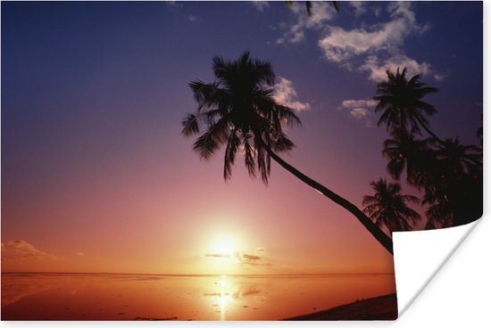 Affiche Silhouette de palmiers au coucher du soleil - 30x20 cm