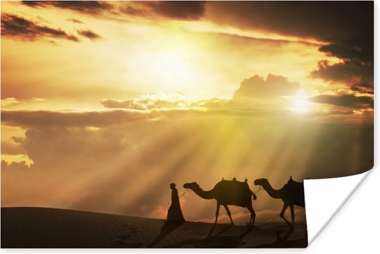 Poster Arabische man en kamelen zonsondergang - 30x20 cm