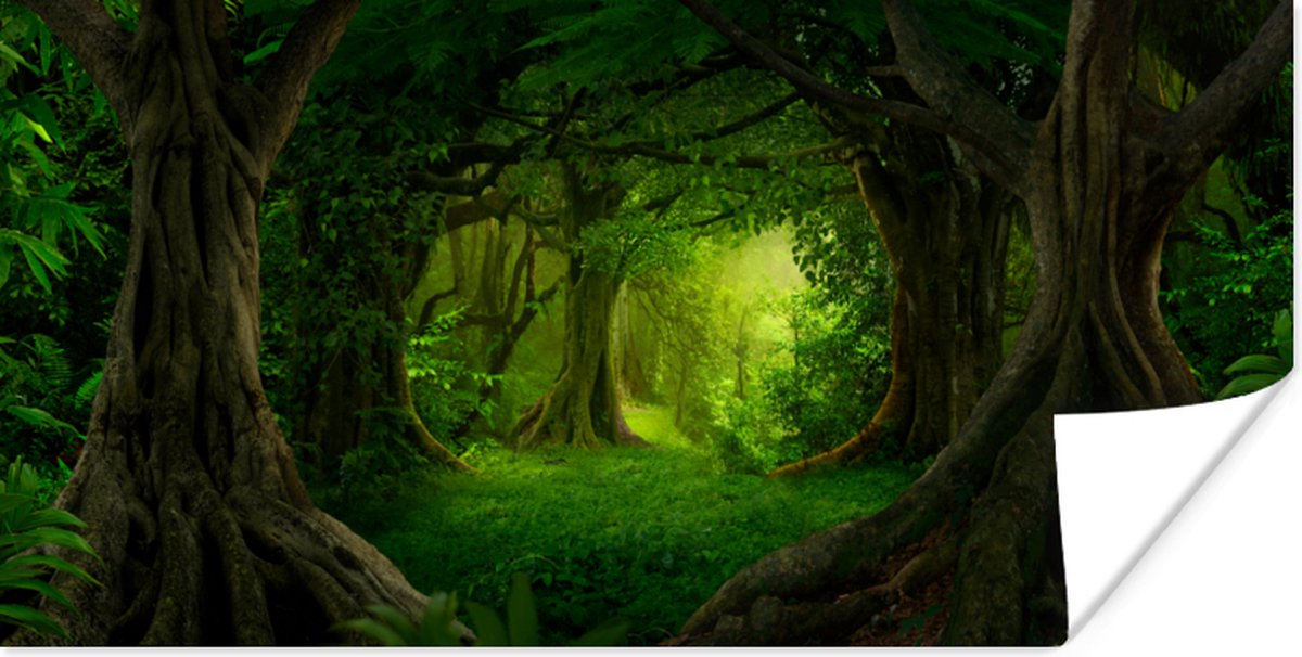Poster Bomen - Bos - Groen - Landschap - Natuur - 150x75 cm