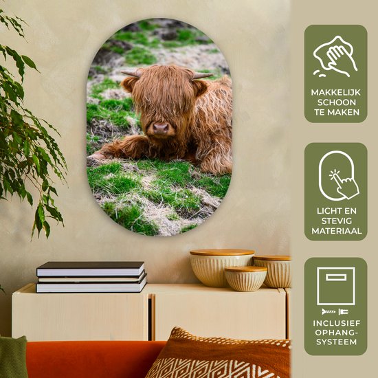 Ovale mural - Décoration murale en plastique - Peinture ovale - Highlander écossais - Foin - Herbe - 60x90 cm - Forme miroir ovale sur plastique