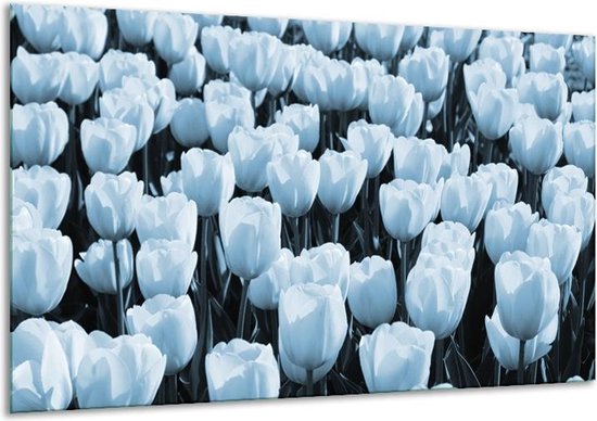 Canvas Schilderij Bloem, Tulpen | Blauw | | F006525