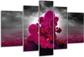 Glasschilderij Orchidee - Rood, Grijs, Paars - 170x100cm 5Luik - Foto Op Glas - Geen Acrylglas Schilderij - 6000+ Glasschilderijen Collectie - Wanddecoratie