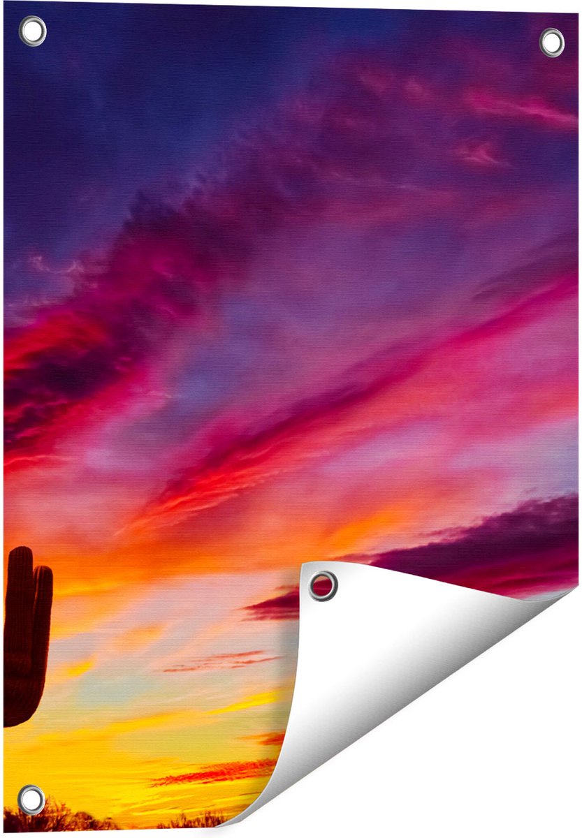 Gards Tuinposter Cactus bij Oranje Zonsondergang - 40x50 cm - Tuindoek - Tuindecoratie - Wanddecoratie buiten - Tuinschilderij Multikleur