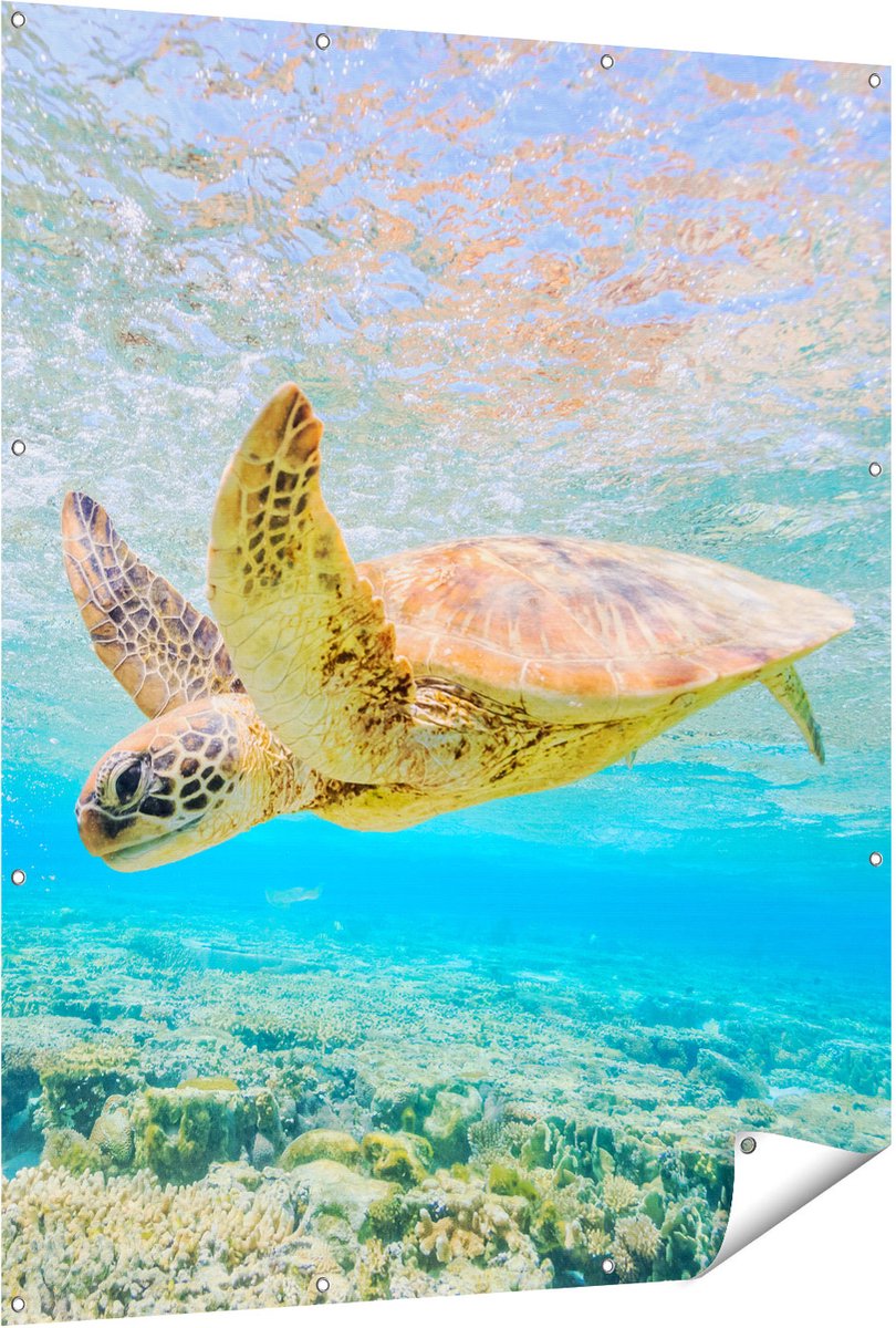 Gards Tuinposter Schildpad Zwemt in de Zee bij het Rif - 120x150 cm - Tuindoek - Tuindecoratie - Wanddecoratie buiten - Tuinschilderij Multikleur