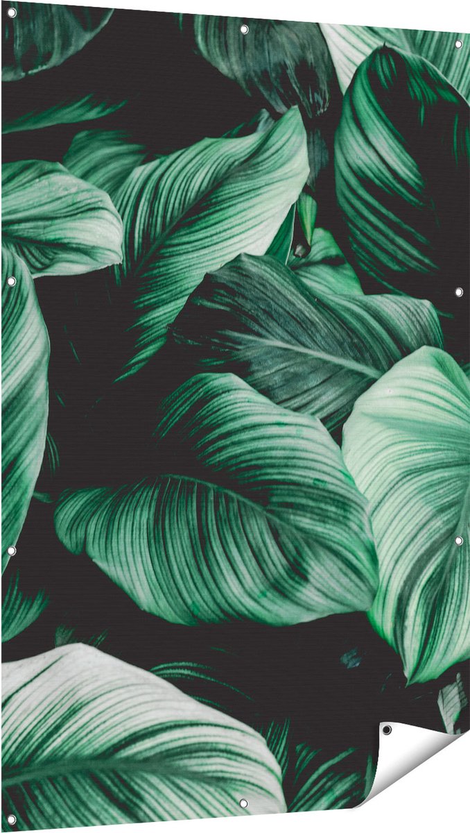 Gards Tuinposter Tropische Groene Bladeren - 100x150 cm - Tuindoek - Tuindecoratie - Wanddecoratie buiten - Tuinschilderij Multikleur