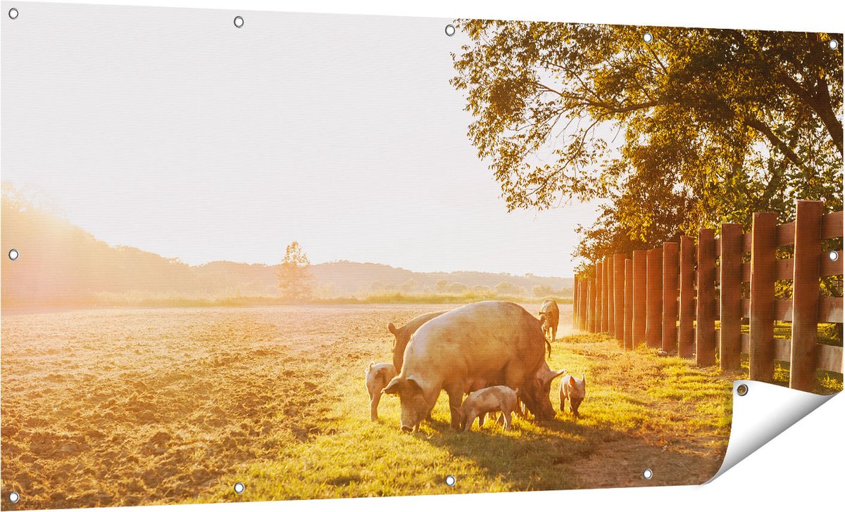 Gards Tuinposter Varken Familie - Varkens - 160x80 cm - Tuindoek - Tuindecoratie - Wanddecoratie buiten - Tuinschilderij Multikleur