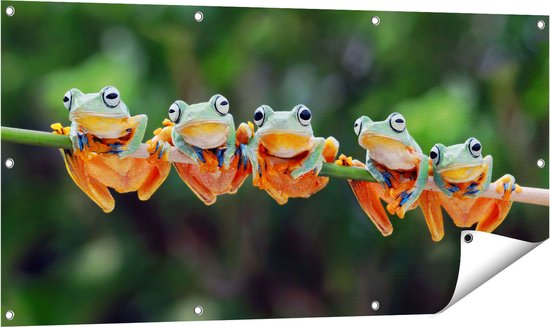 Gards Tuinposter Groep Kikkers op een Tak - 120x60 cm - Tuindoek