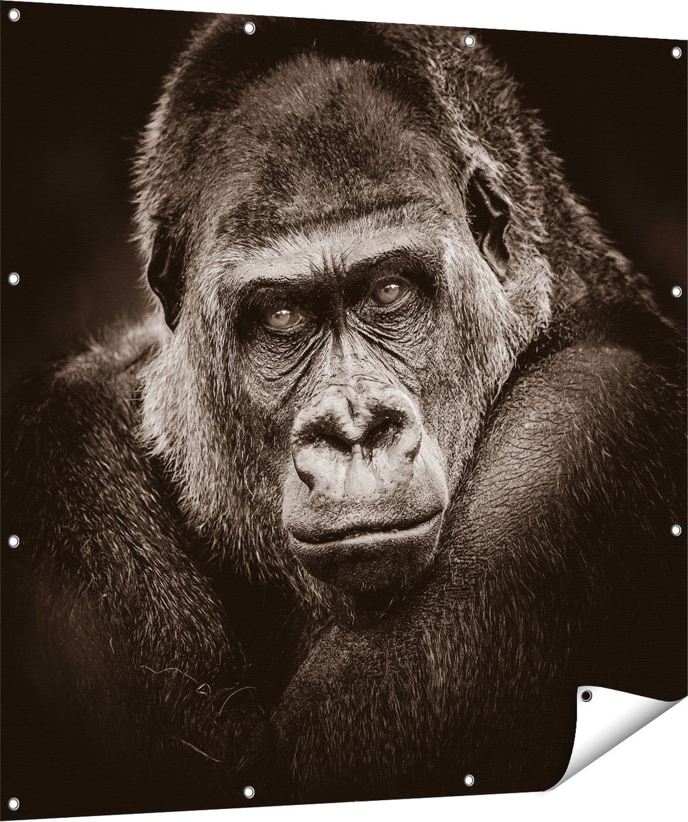 Gards Tuinposter Gorilla - Zwart Wit - 120x120 cm - Tuindoek - Tuindecoratie - Wanddecoratie buiten - Tuinschilderij Multikleur
