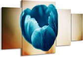GroepArt - Schilderij -  Tulp - Blauw, Oranje, Bruin - 160x90cm 4Luik - Schilderij Op Canvas - Foto Op Canvas