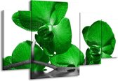 GroepArt - Schilderij -  Orchidee - Groen, Wit, Grijs - 160x90cm 4Luik - Schilderij Op Canvas - Foto Op Canvas