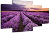 GroepArt - Schilderij -  Lavendel - Paars - 160x90cm 4Luik - Schilderij Op Canvas - Foto Op Canvas