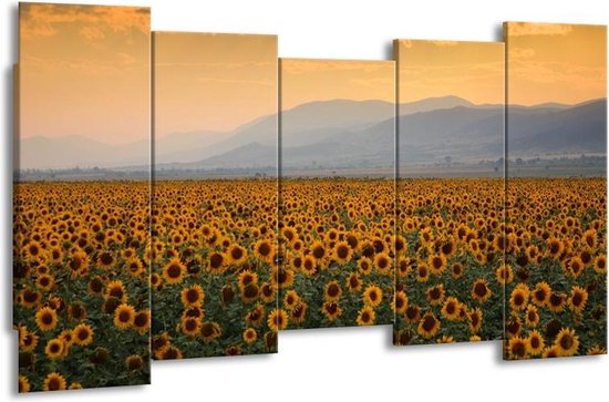 Canvas schilderij Zonnebloemen | Geel, Bruin, Grijs | | F001335