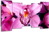 GroepArt - Canvas Schilderij - Orchidee - Paars, Rood, Wit - 150x80cm 5Luik- Groot Collectie Schilderijen Op Canvas En Wanddecoraties