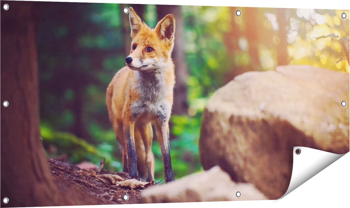 Gards Tuinposter Vos in het Bos bij Stenen - 120x60 cm - Tuindoek - Tuindecoratie - Wanddecoratie buiten - Tuinschilderij Multikleur