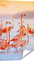 Gards Tuinposter Kudde Flamingo's in het Water - 60x90 cm - Tuindoek - Tuindecoratie - Wanddecoratie buiten - Tuinschilderij
